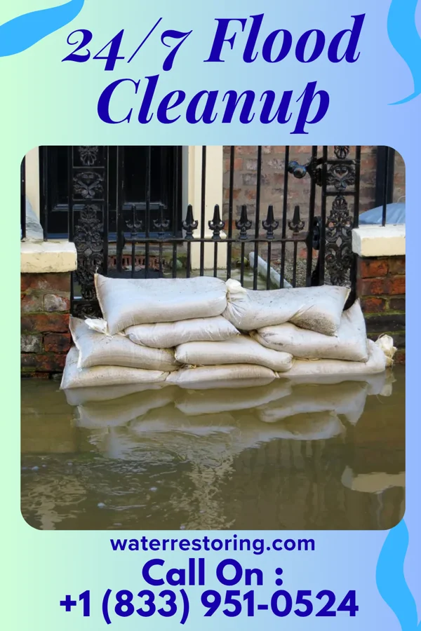 24/7 Flood Cleanup in Long Beach, MD
