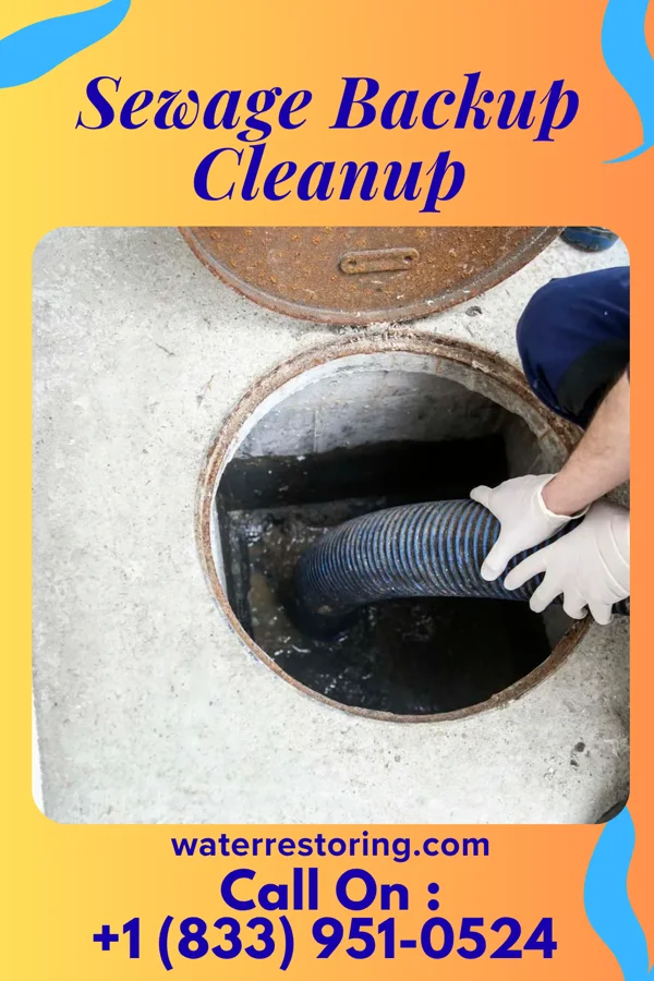 Sewage Backup Cleanup in Long Beach, MD