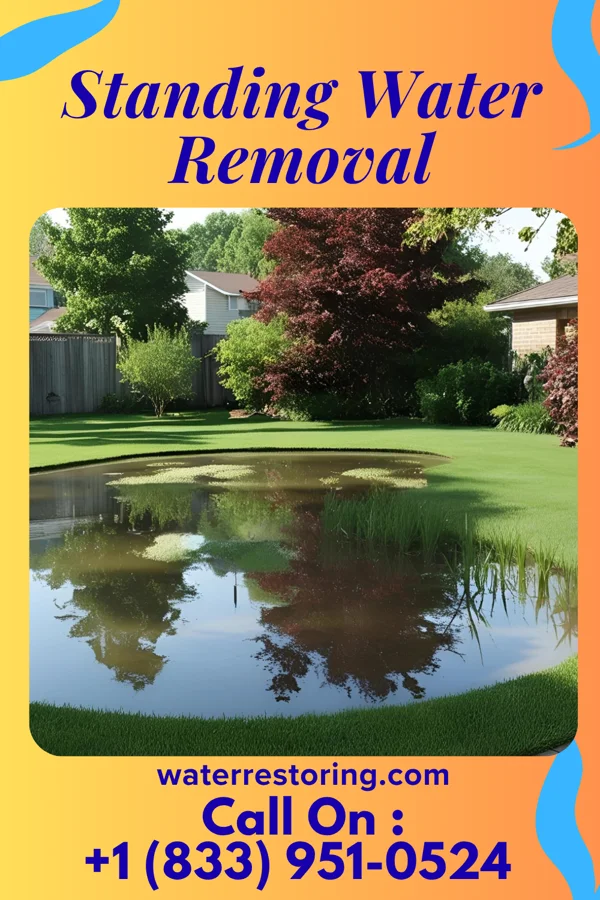 Standing Water Removal in Long Beach, MD